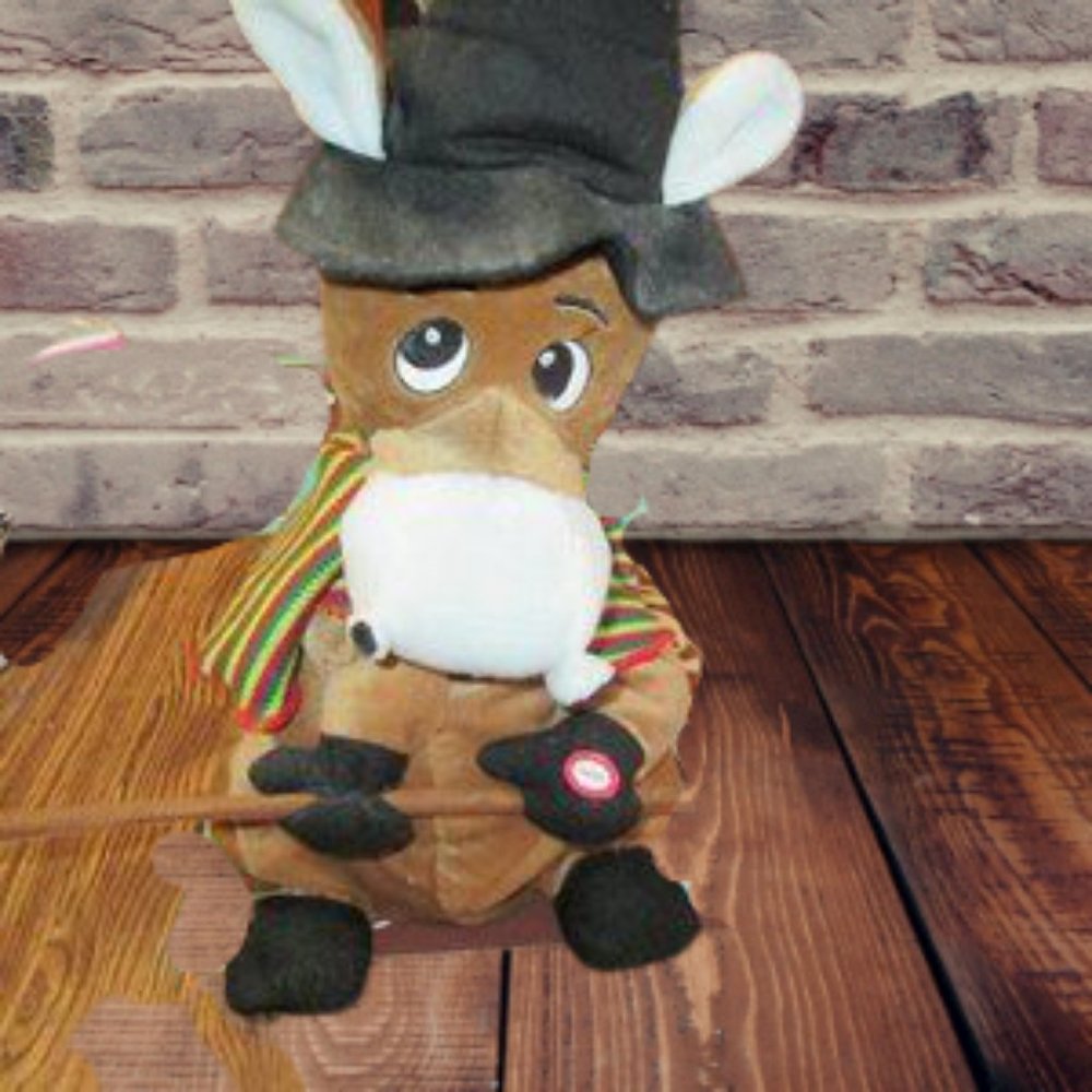 Gone Fishin' Musical Toy